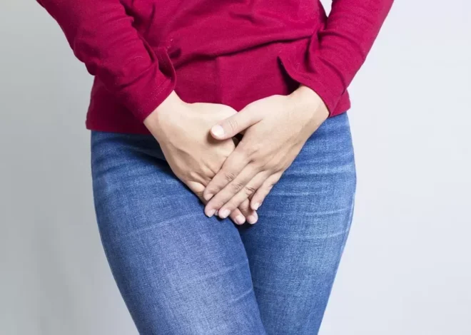 Apa itu vagina?