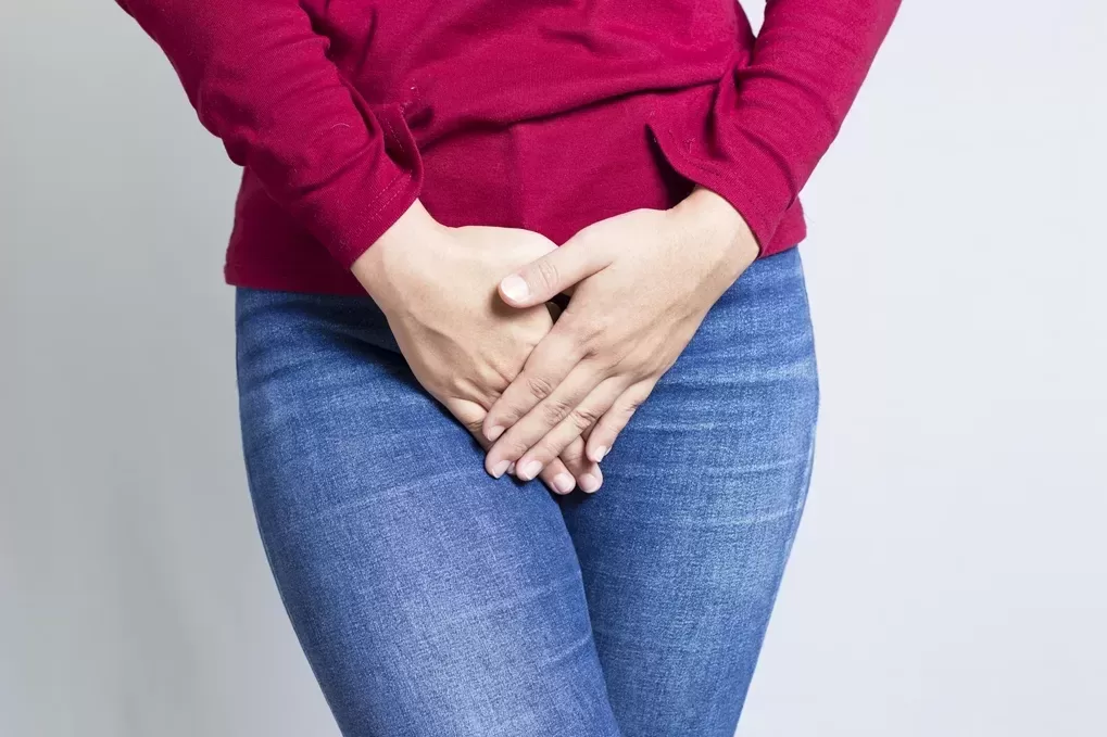 Apa itu vagina?
